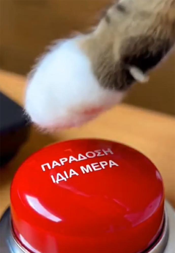 Παράδοση ίδια μέρα