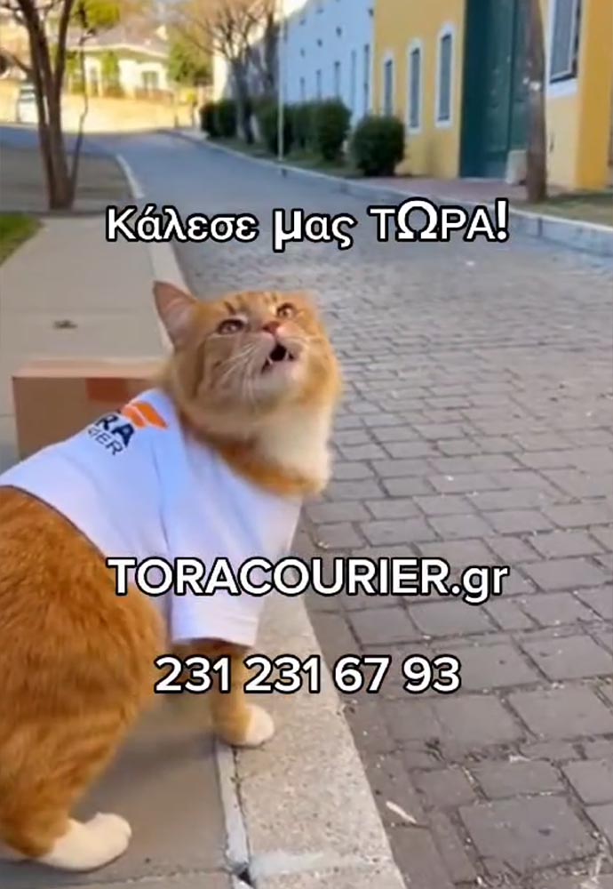 Κάλεσε ΤΩΡΑ ( 231 231 6793 )